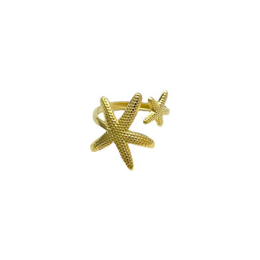 Dubbel zeester ring